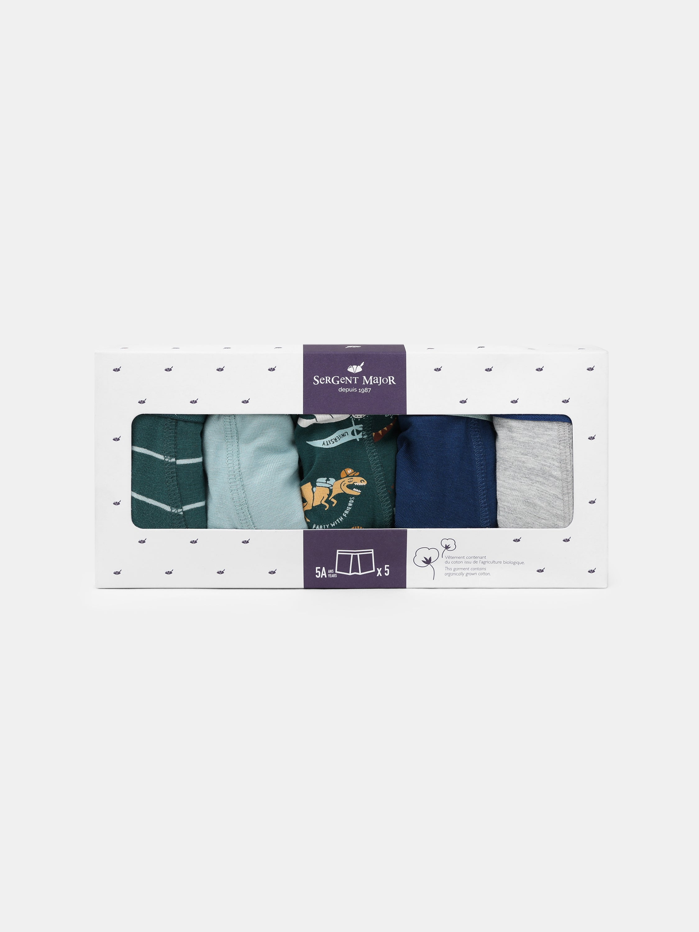 tmp/68893507776/products/50583698-f82e-427e-b286-b6bd96a609bc/25H5PGC1BOX_608_270428d98b-f1e0-46e4-862e-d91abb853cef.jpg